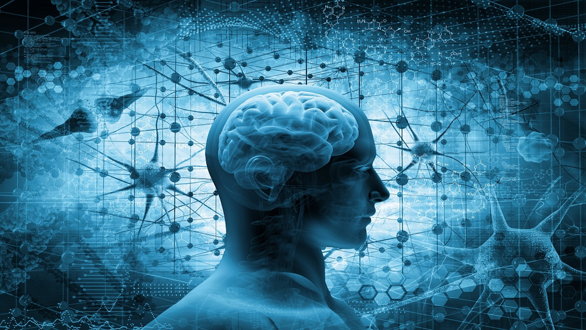 Mente humana e conexões neurais